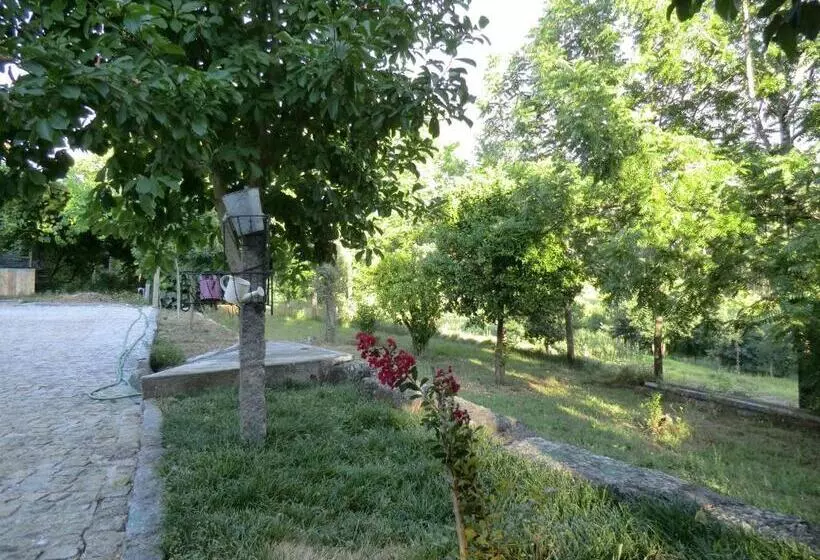 Aamiaismajoitus (B&B) Vianashome