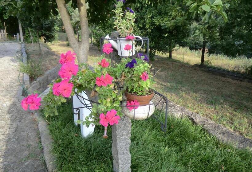 تختخواب و صبحانه Vianashome