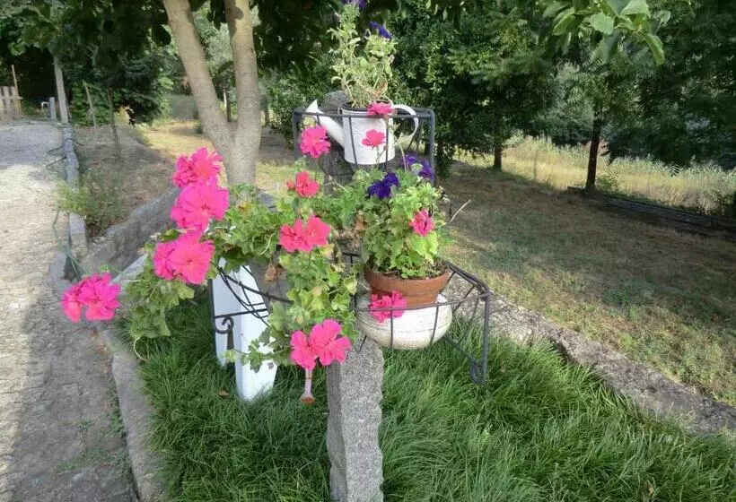 Aamiaismajoitus (B&B) Vianashome