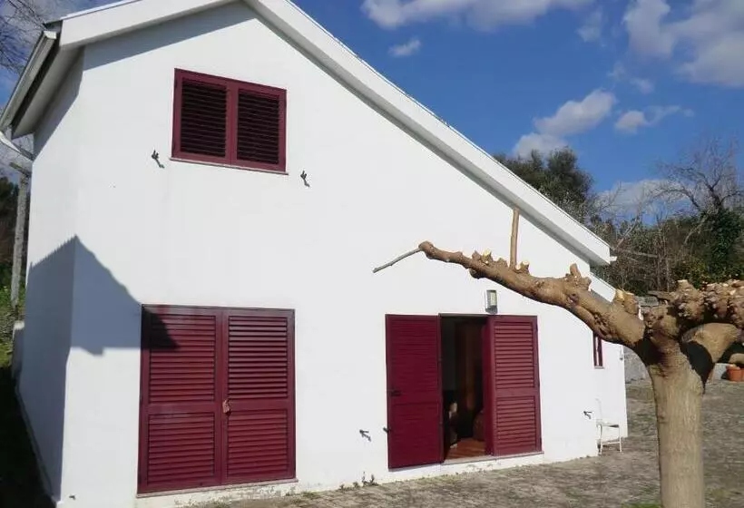 Aamiaismajoitus (B&B) Vianashome