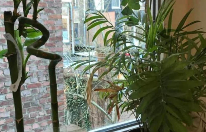 בית מלון כפרי Good Night Leuven  Self Check In