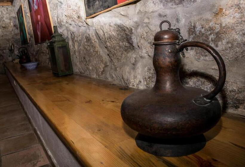 هتل Casa De Pascoaes Historical House