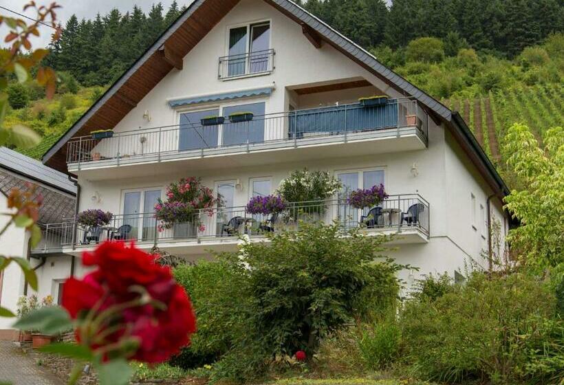 Pensjonat Gästehaus Falklay