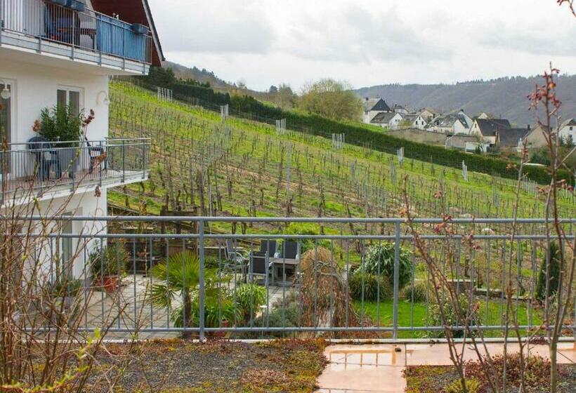 Pensjonat Gästehaus Falklay