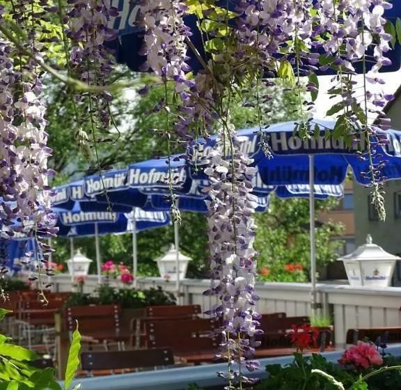 Retkeilymaja Pension Alter Wirt