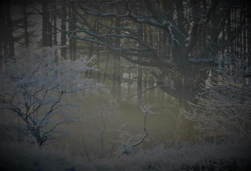 تختخواب و صبحانه Gina S Garden House