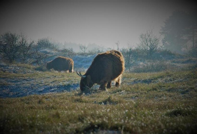 تختخواب و صبحانه Gina S Garden House