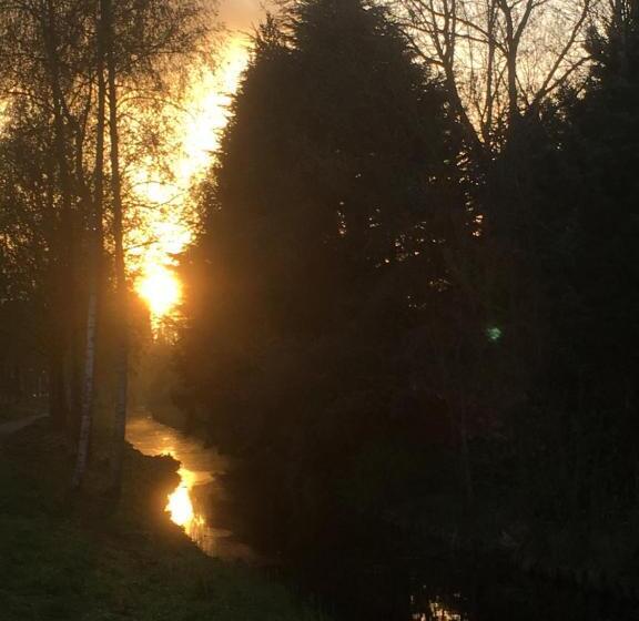 تختخواب و صبحانه Gina S Garden House