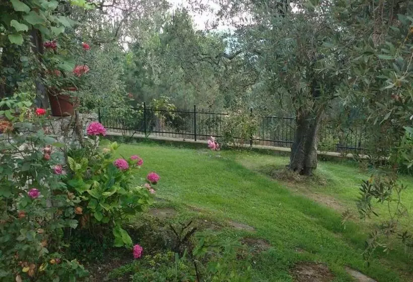 تختخواب و صبحانه La Vie Est Belle