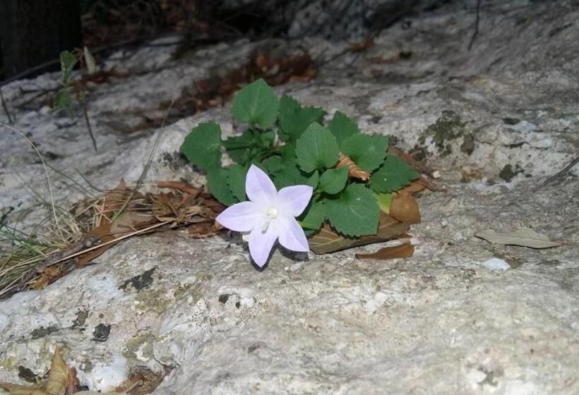 Nocleg ze śniadaniem La Vie Est Belle