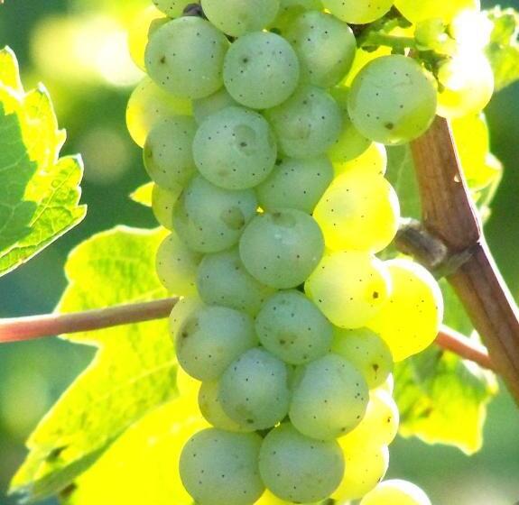 Bed & Breakfast Sandra Müller