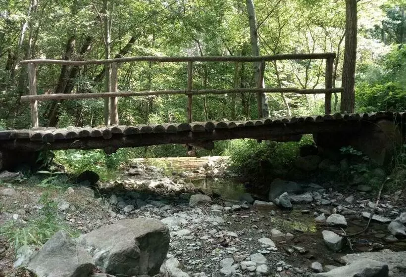 ホテル Agriturismo Rio Ricco