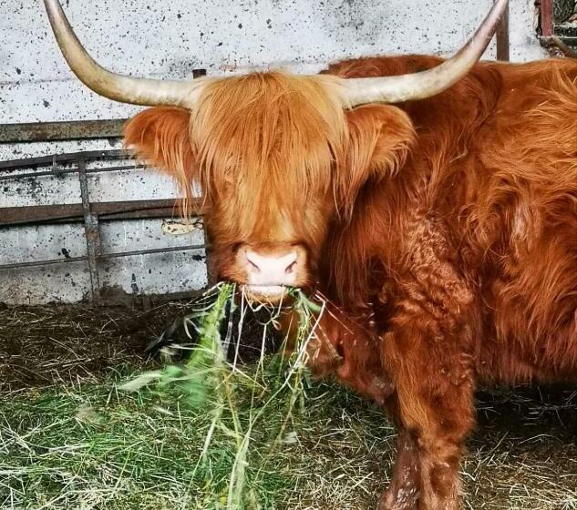 호텔 Agriturismo Rio Ricco