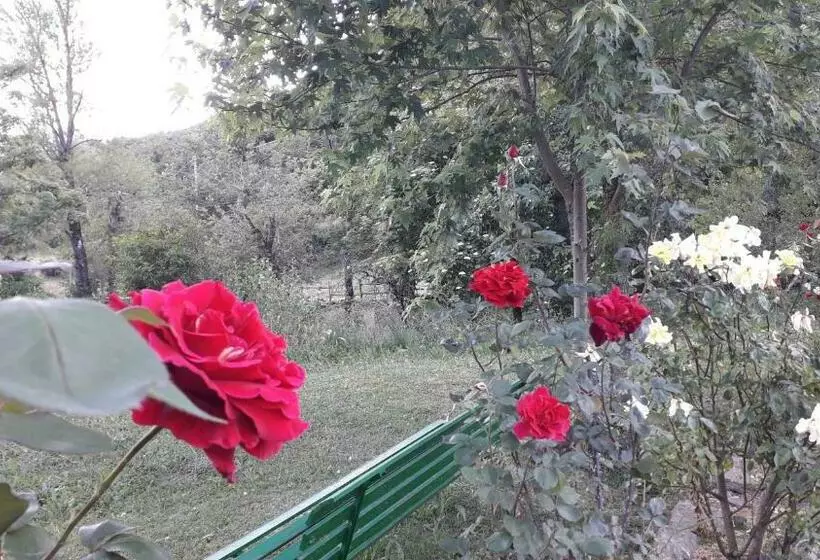 ホテル Agriturismo Rio Ricco