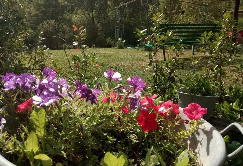 ホテル Agriturismo Rio Ricco