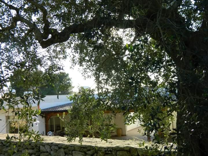 酒店 Agriturismo Serra Vecchia