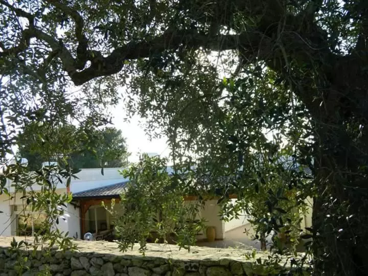 ホテル Agriturismo Serra Vecchia