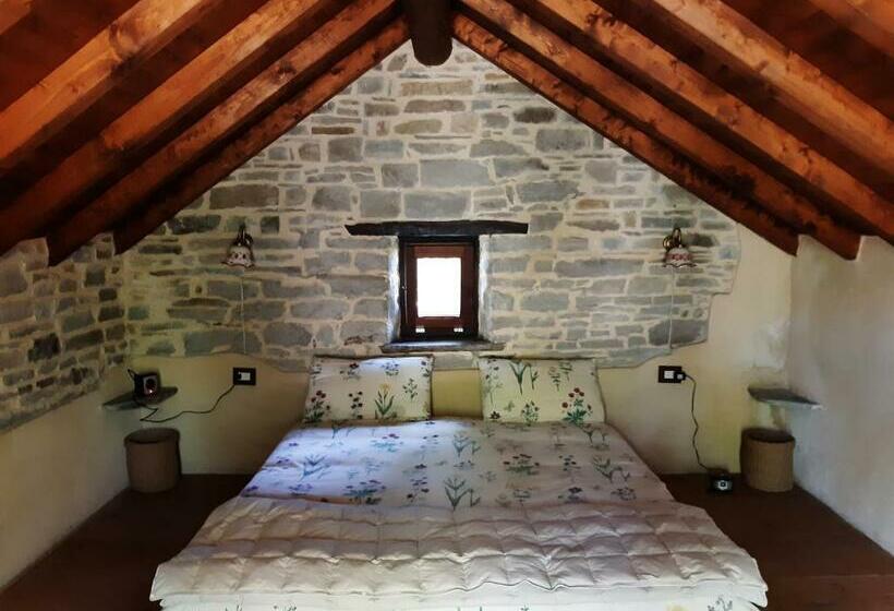 酒店 Ca  D Alfieri