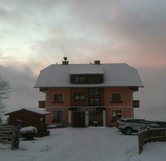 ホテル Tieschnhof