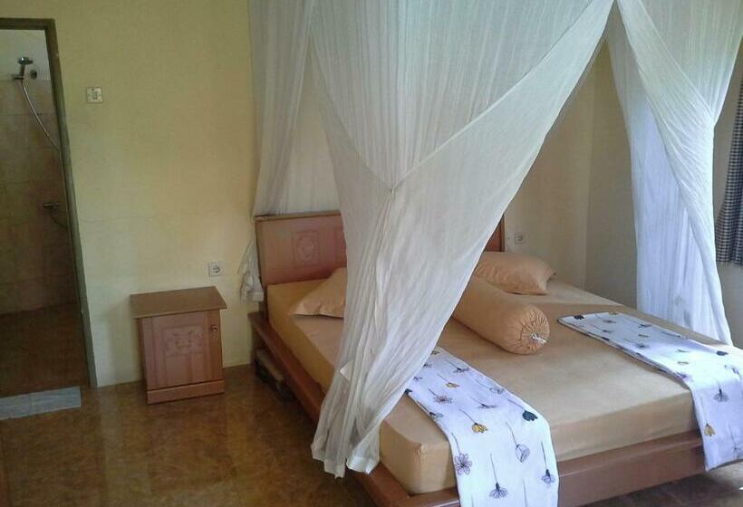 פנסיון Arnel Bungalows