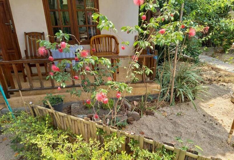 פנסיון Arnel Bungalows