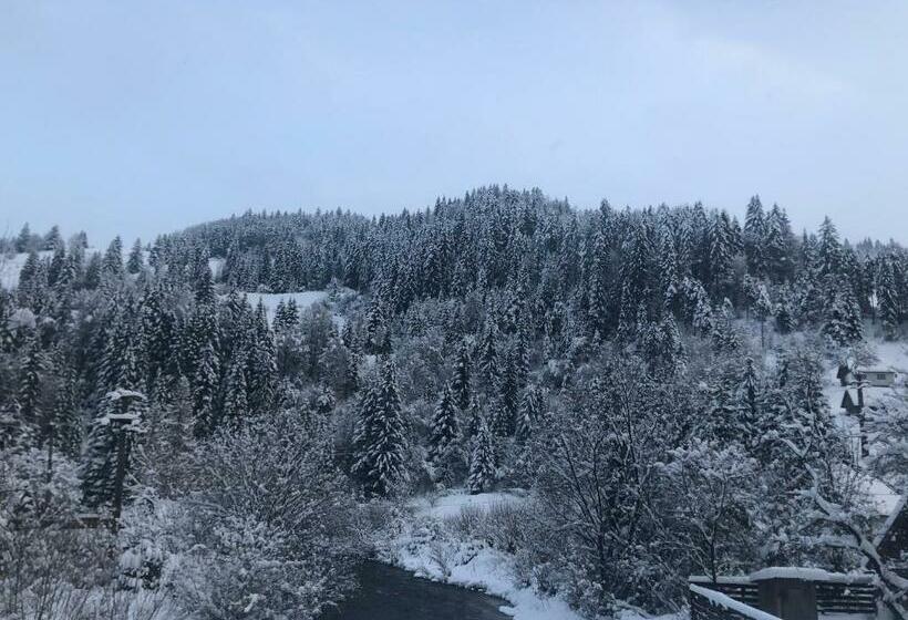 ペンション Cabana Felyviss