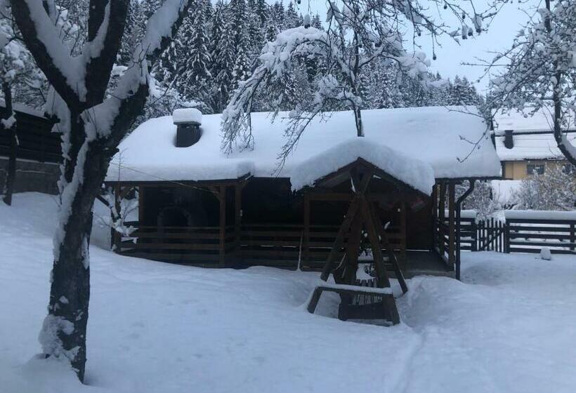 ペンション Cabana Felyviss