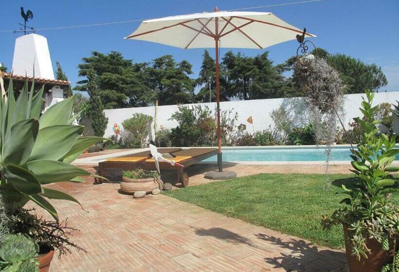 膳宿费 Casa Dos Cactos