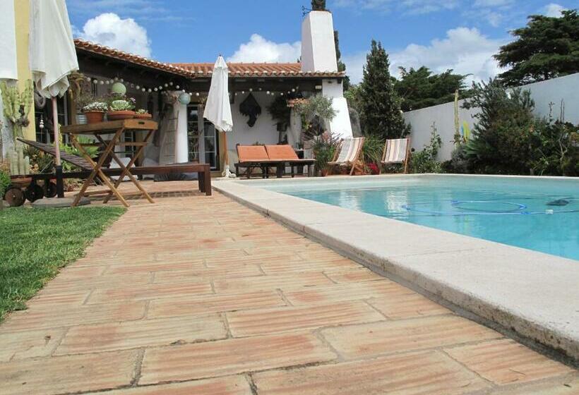 膳宿费 Casa Dos Cactos