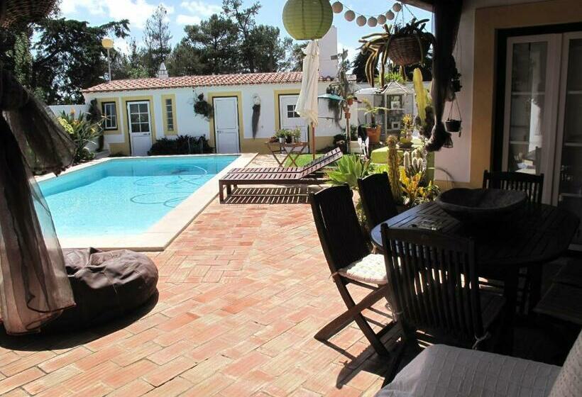 膳宿费 Casa Dos Cactos