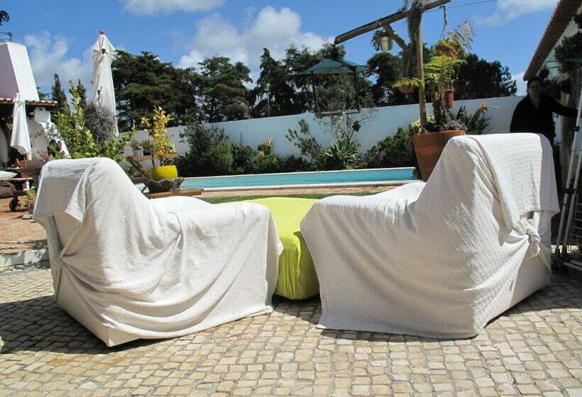 膳宿费 Casa Dos Cactos