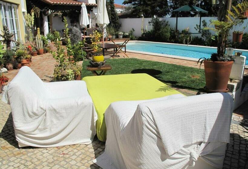 膳宿费 Casa Dos Cactos