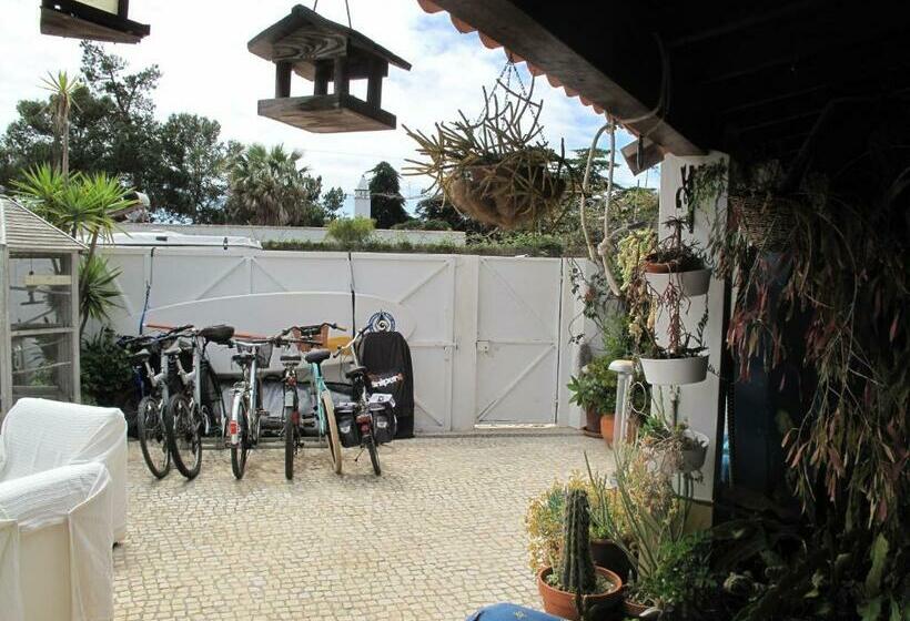 膳宿费 Casa Dos Cactos