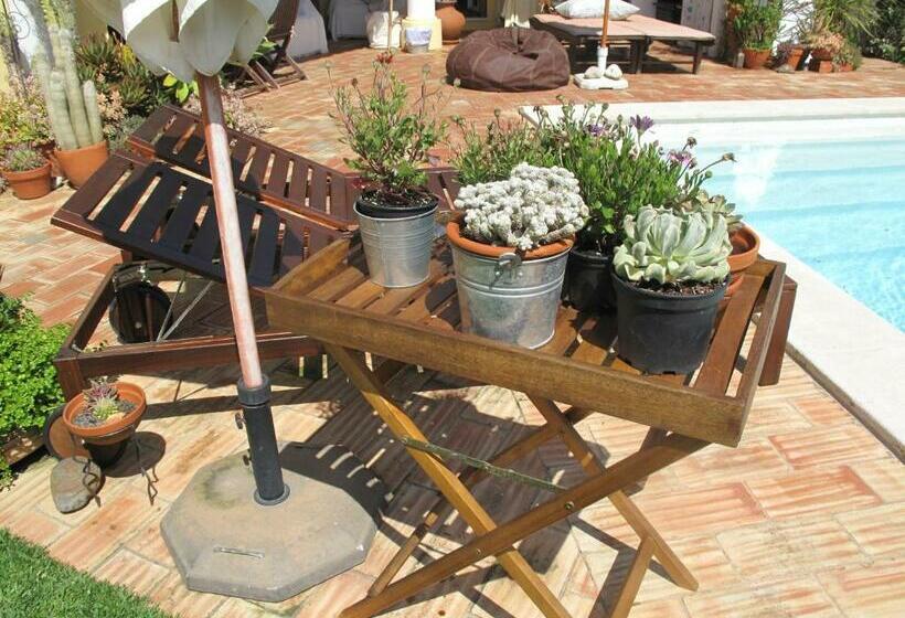 膳宿费 Casa Dos Cactos