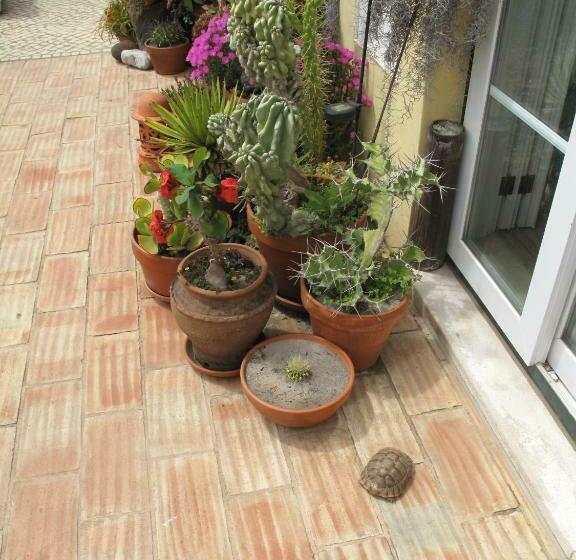 膳宿费 Casa Dos Cactos