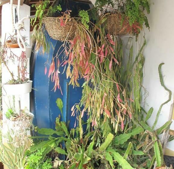 膳宿费 Casa Dos Cactos