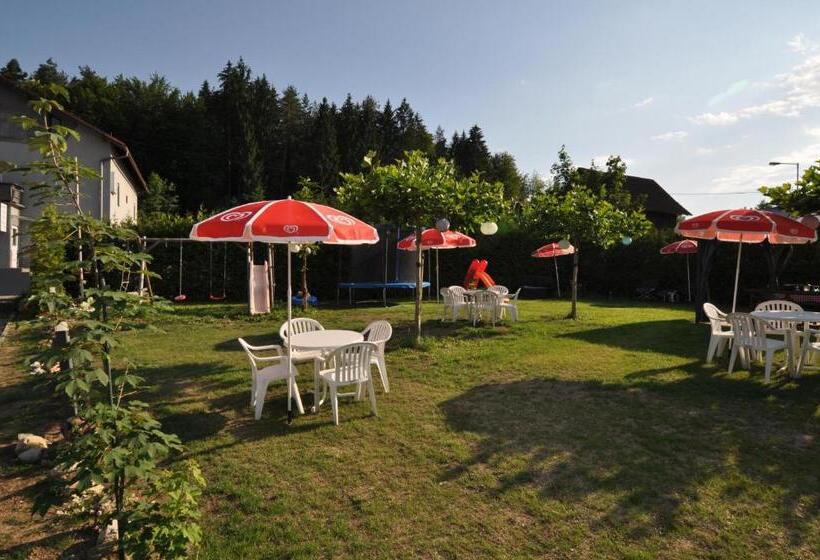 펜션 Kärnten Appartements