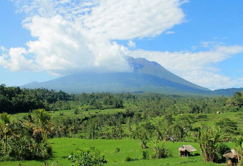 膳宿费 Maha Neka Villa