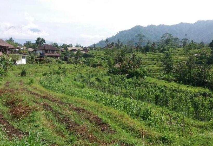 膳宿费 Maha Neka Villa