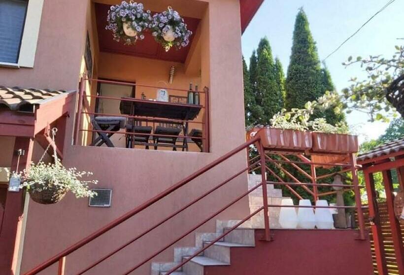 פנסיון Nyirjes Vendégház