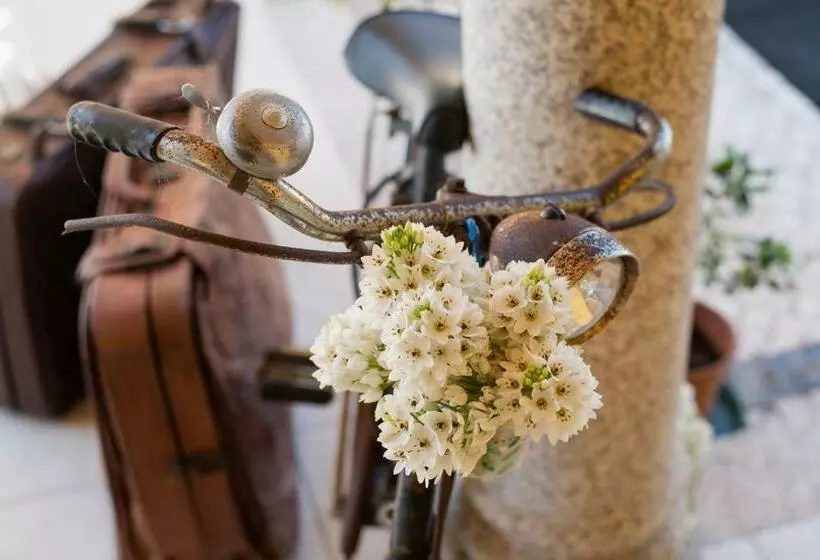 پانسیون Quinta Salinas   Puro Prazer