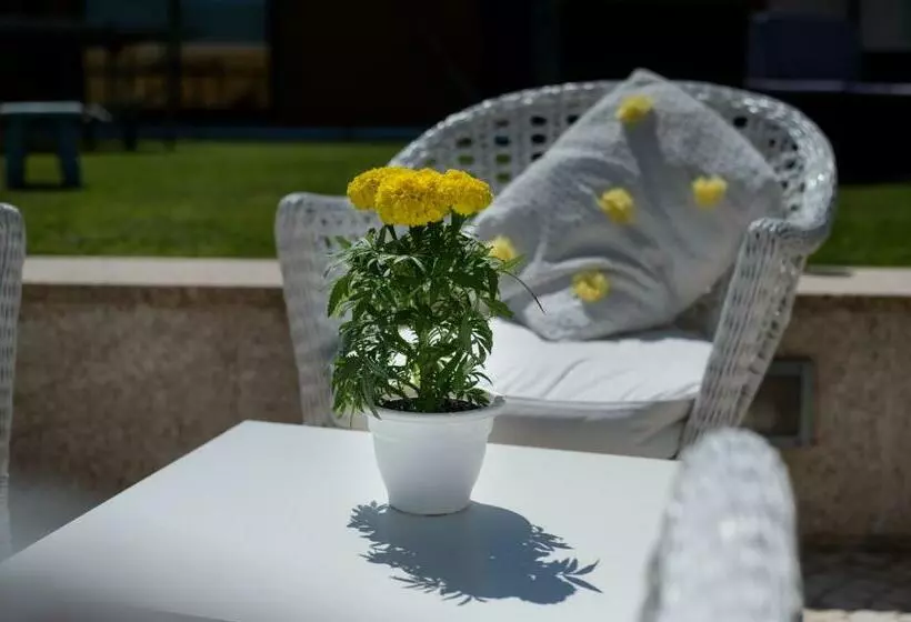 پانسیون Quinta Salinas   Puro Prazer