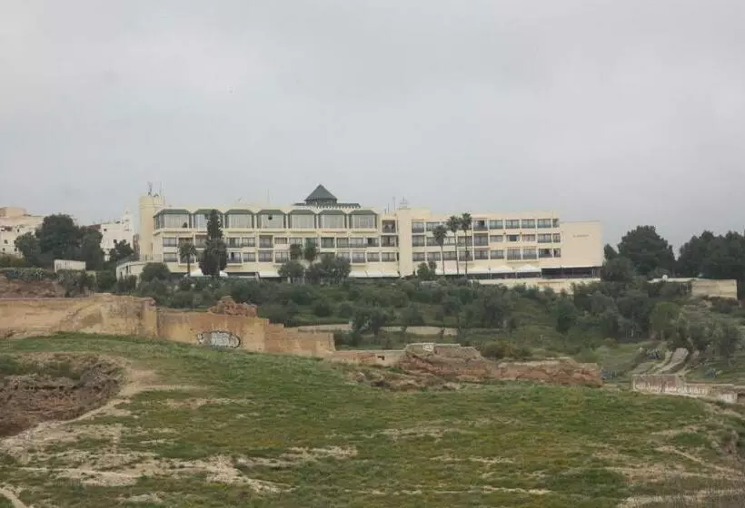 Riad Elkorchi