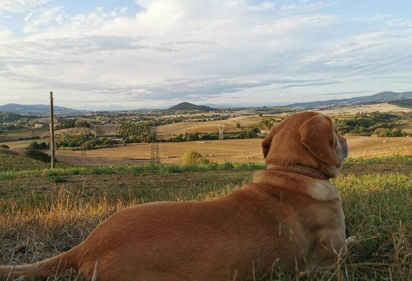 B&b Il Poggio Di Fiore