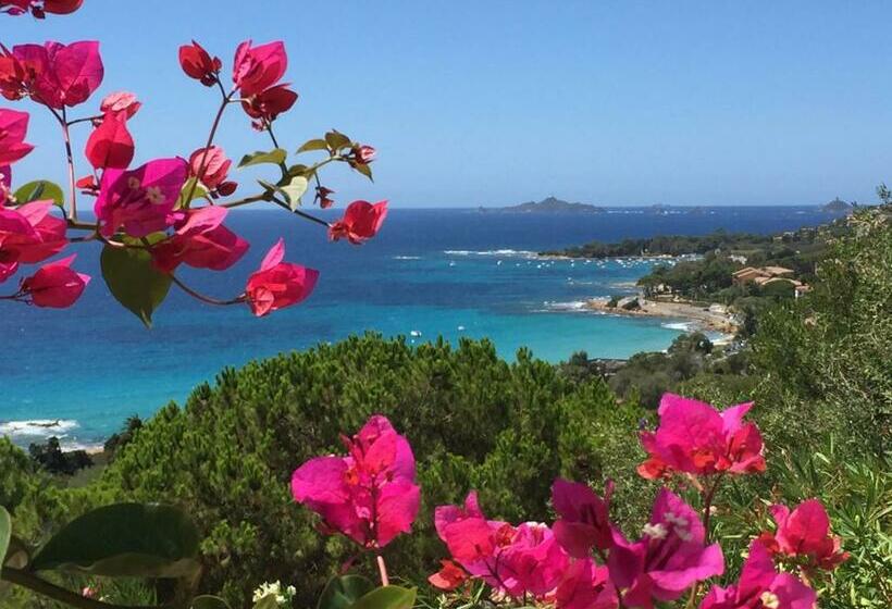 Nocleg ze śniadaniem Barbicaj Alta