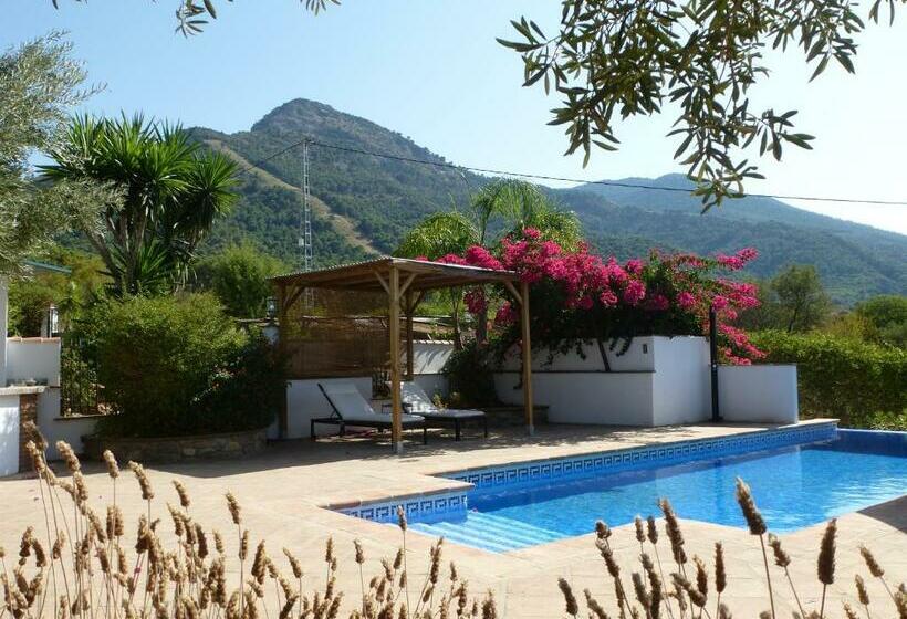 Bed and Breakfast Finca Roca Vista