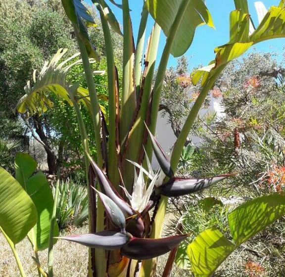 Bed and Breakfast Finca Roca Vista