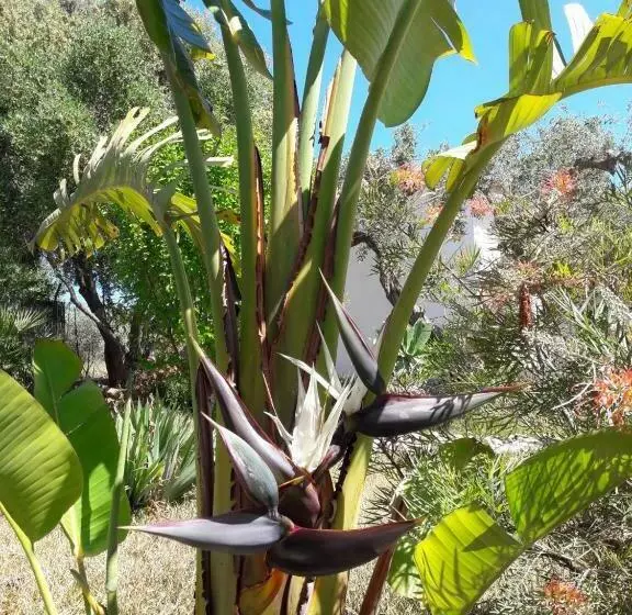 تختخواب و صبحانه Finca Roca Vista