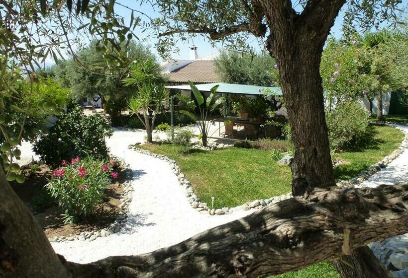 Bed and Breakfast Finca Roca Vista