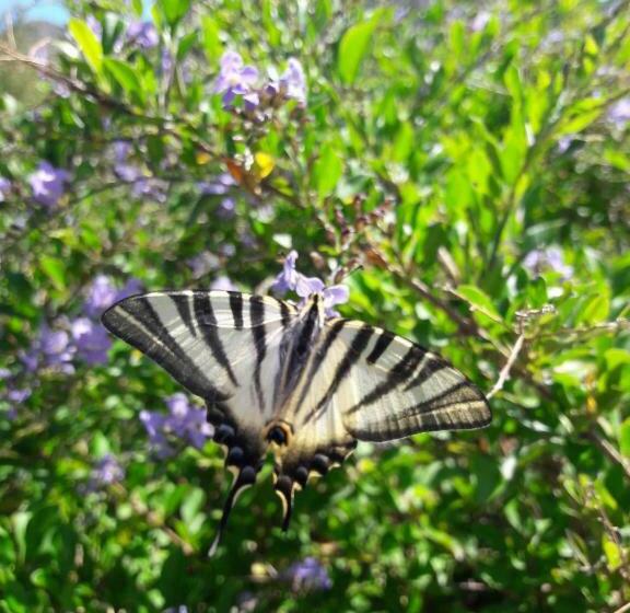 Bed and Breakfast Finca Roca Vista